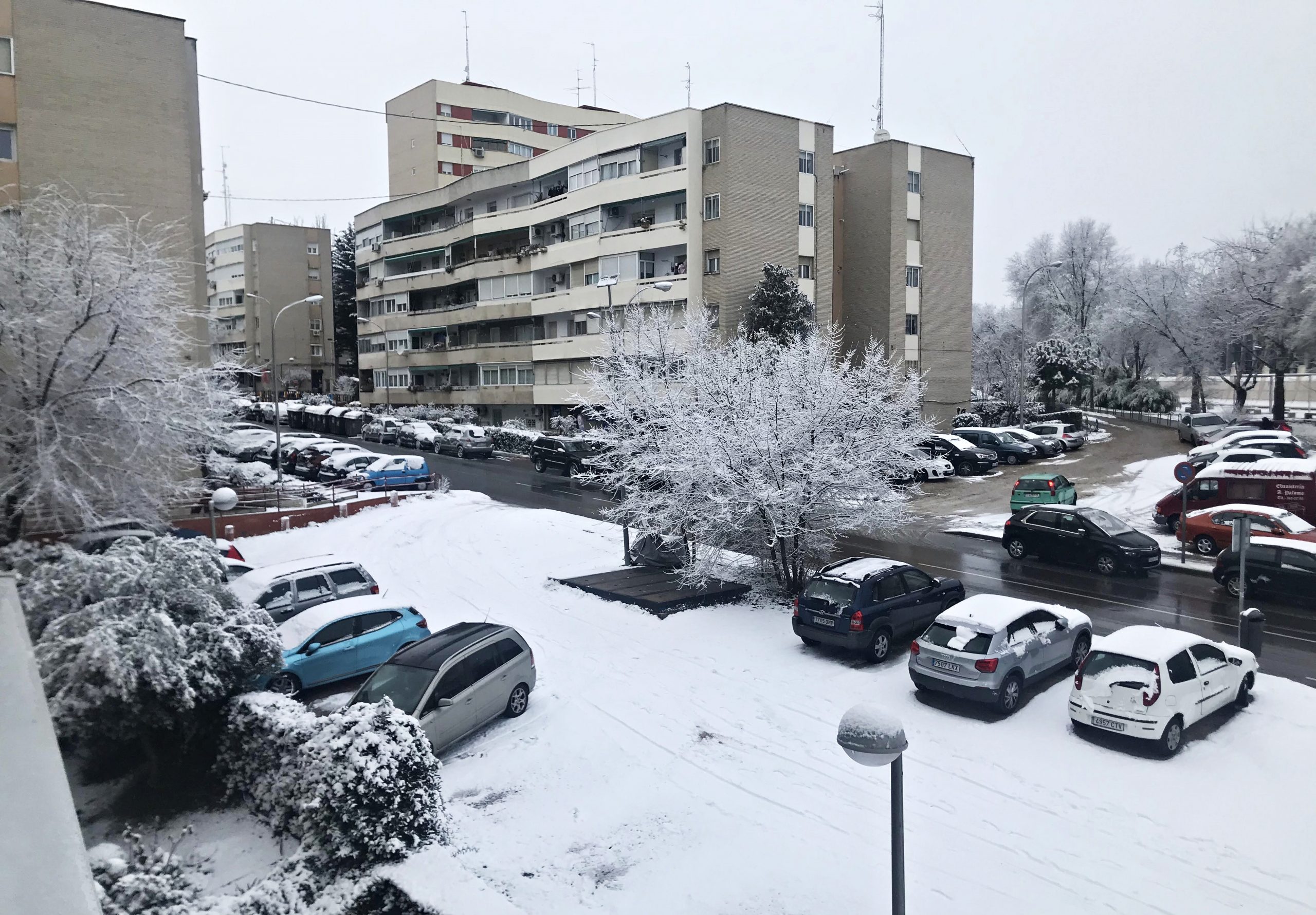 Ana Isabel Martin Chiquinquira scaled