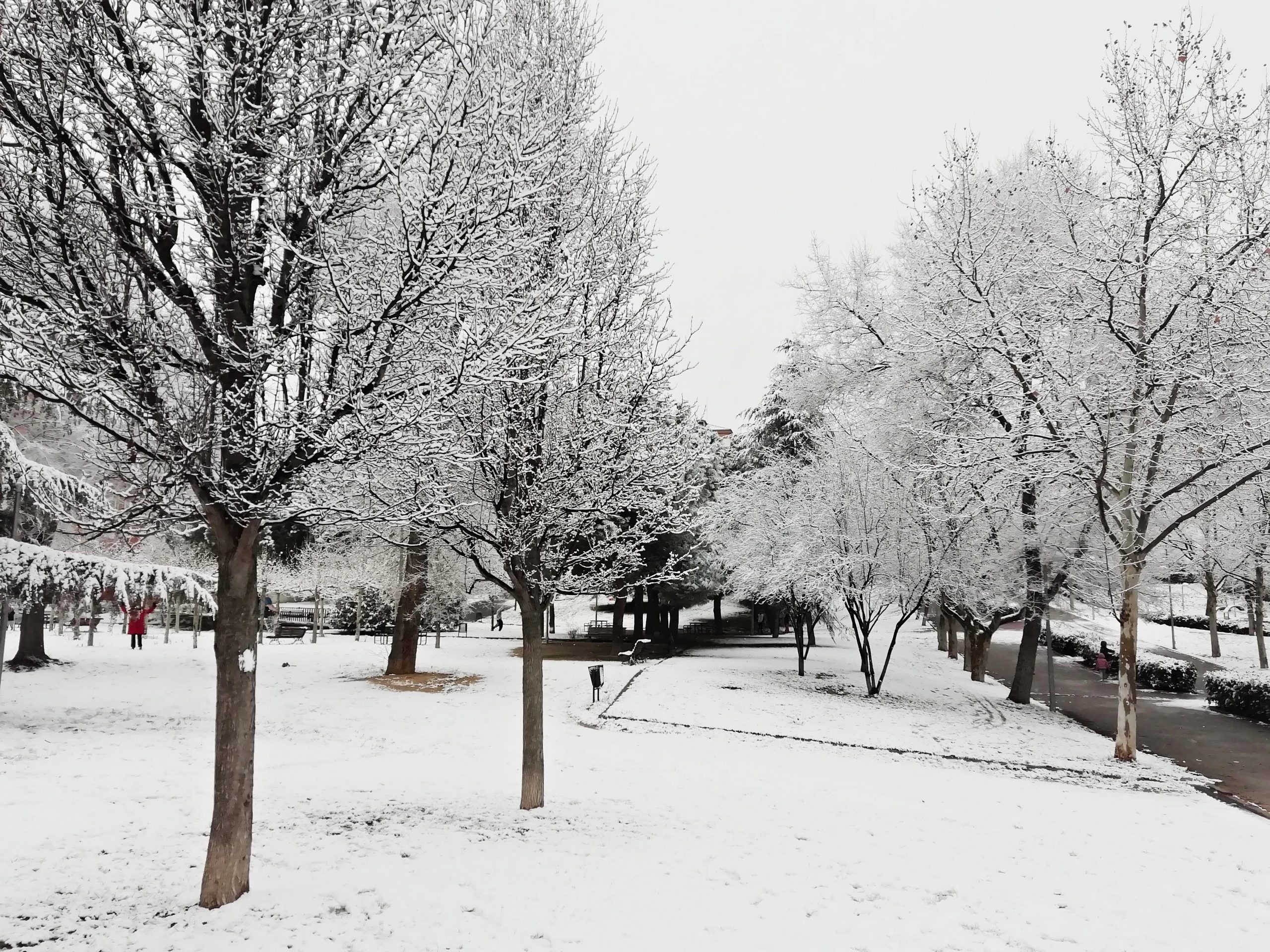 Cecile Roy Alfredo Kraus scaled