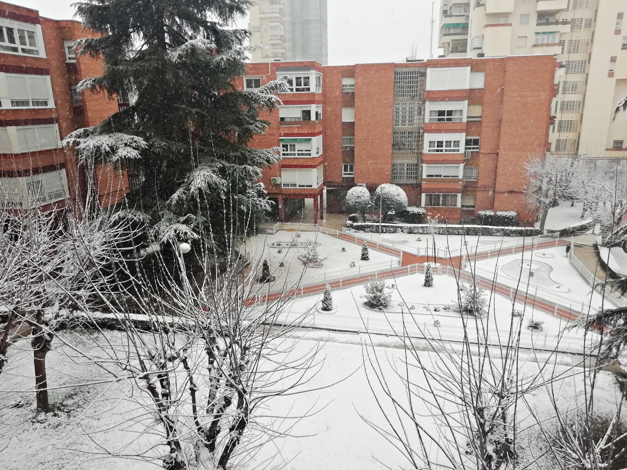 Cecile Roy calle Alcorisa scaled