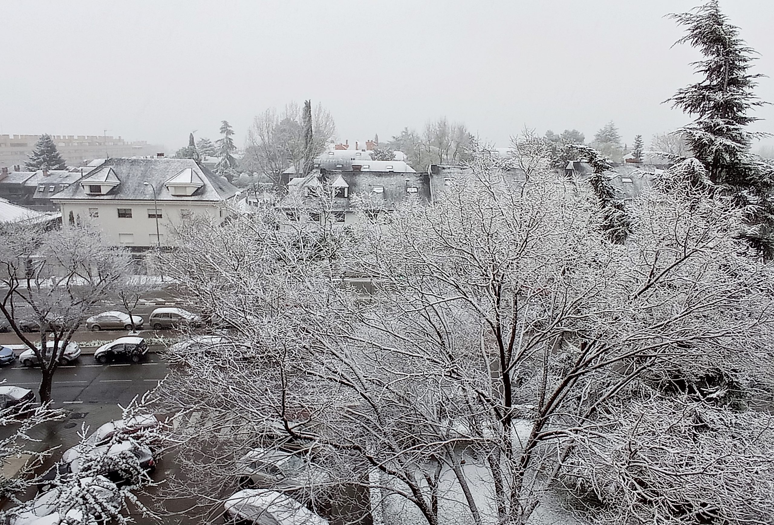 Cristina Otero Silvano scaled