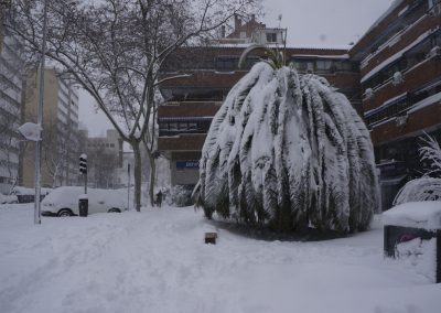 DSC07543 angel sanchez 003