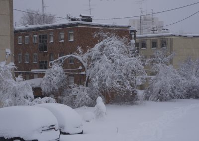 DSC07549 angel sanchez 007