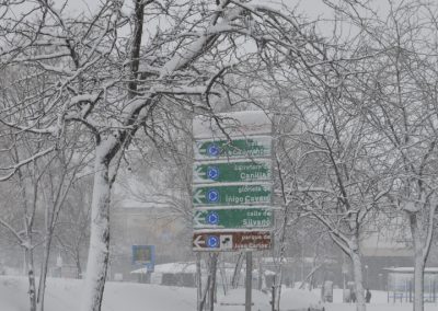 DSC 2005 nines del rio 018