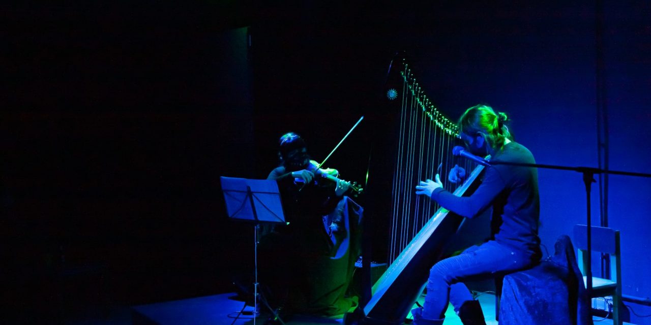 Kulture Market: tenemos alas para volar