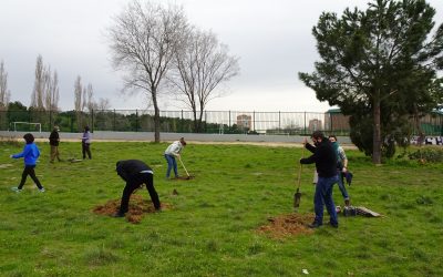 Hortaleza se moviliza para repoblar sus descampados