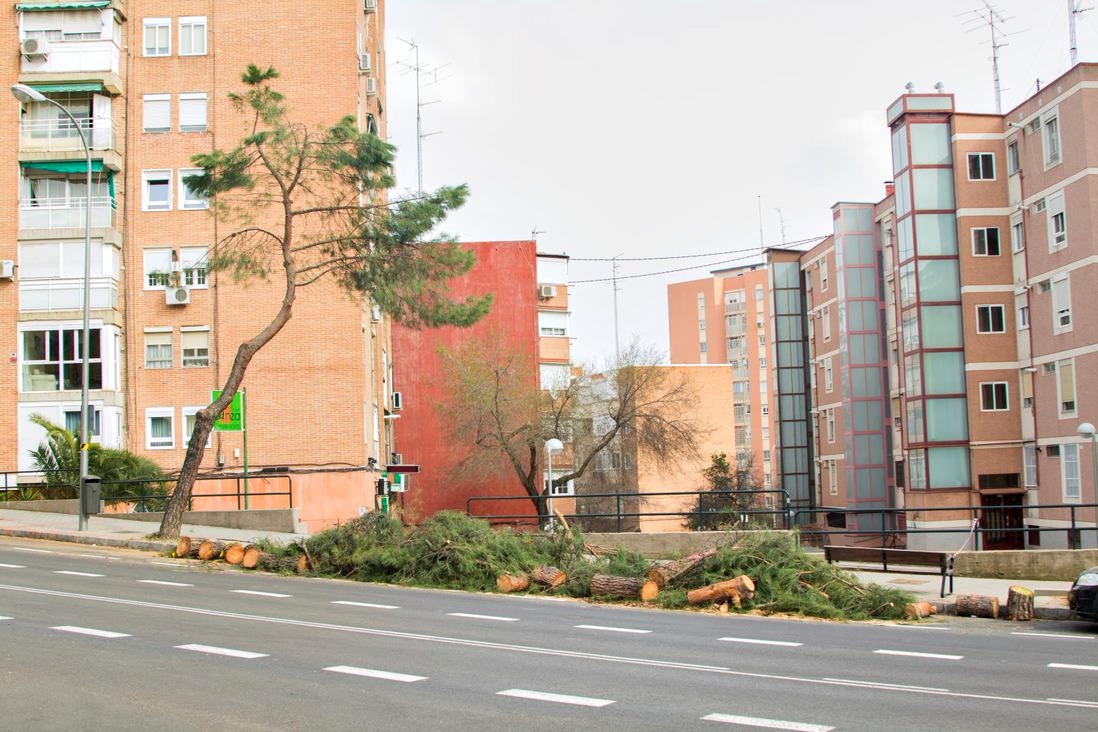 Tala Lopez de Hoyos 3 1