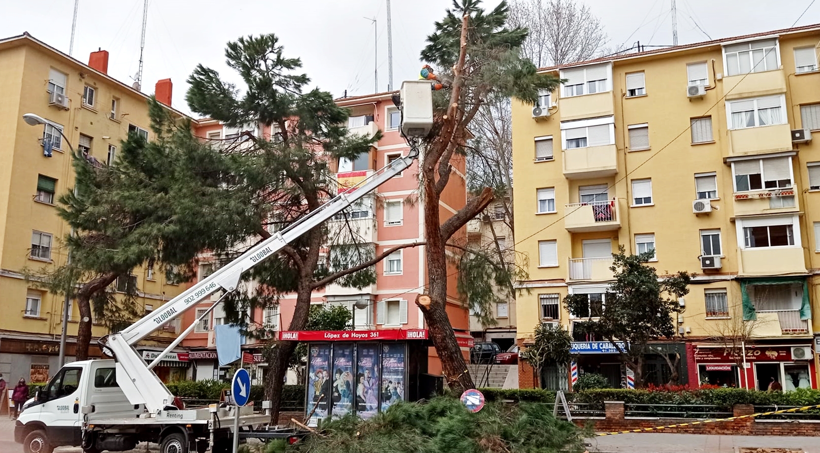 Tala Lopez de Hoyos 3