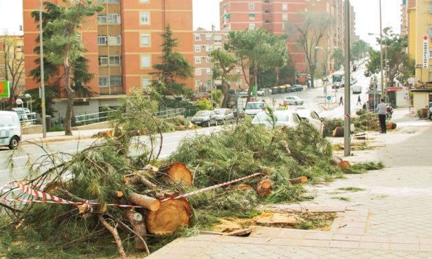 Concentración contra la tala de árboles en Hortaleza