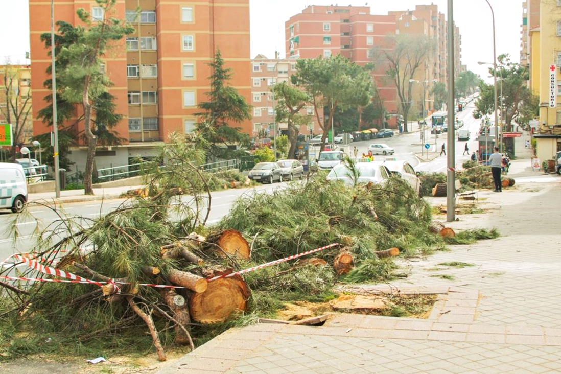 Tala Lopez de Hoyos 4