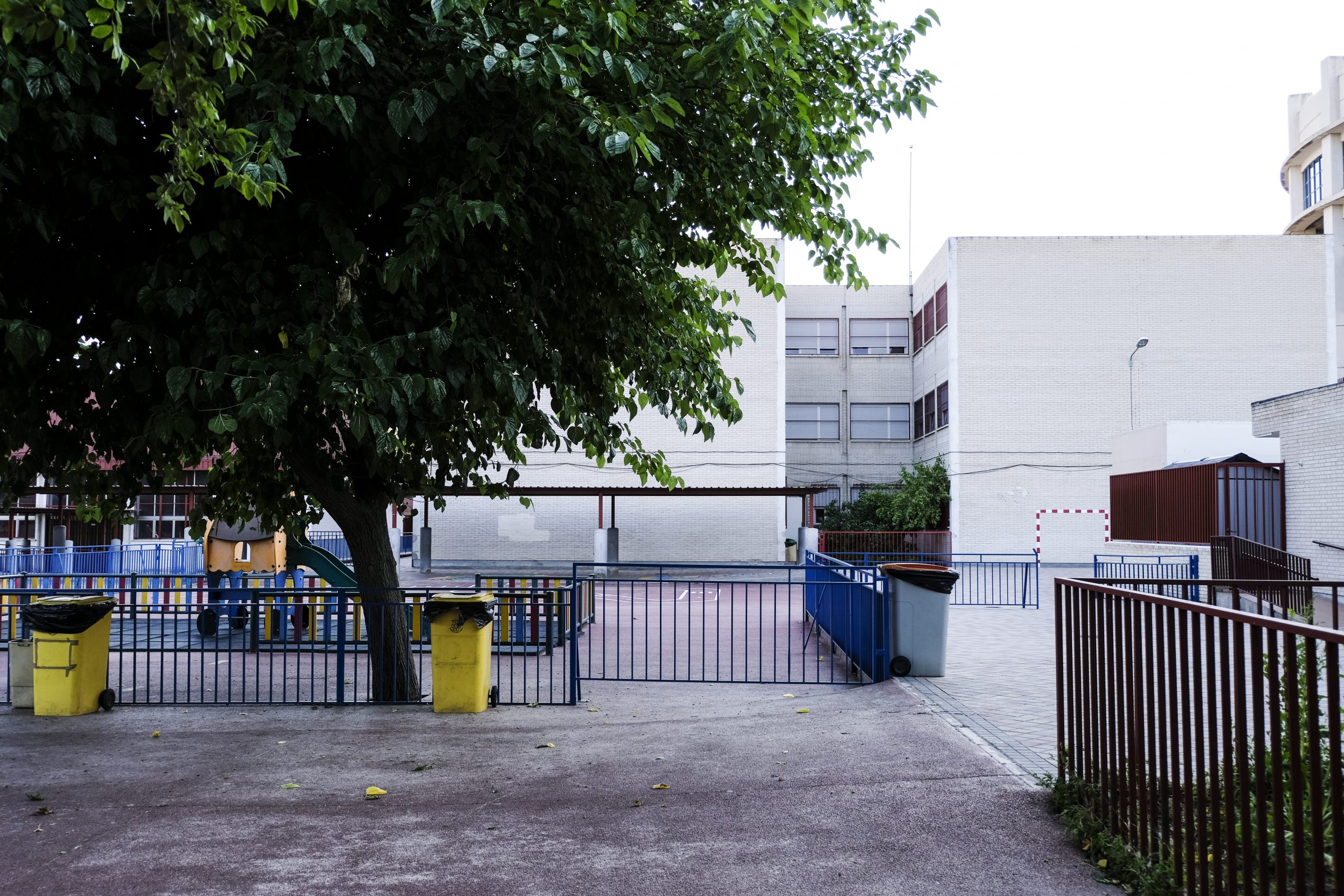 HPV58 Foto amianto scaled