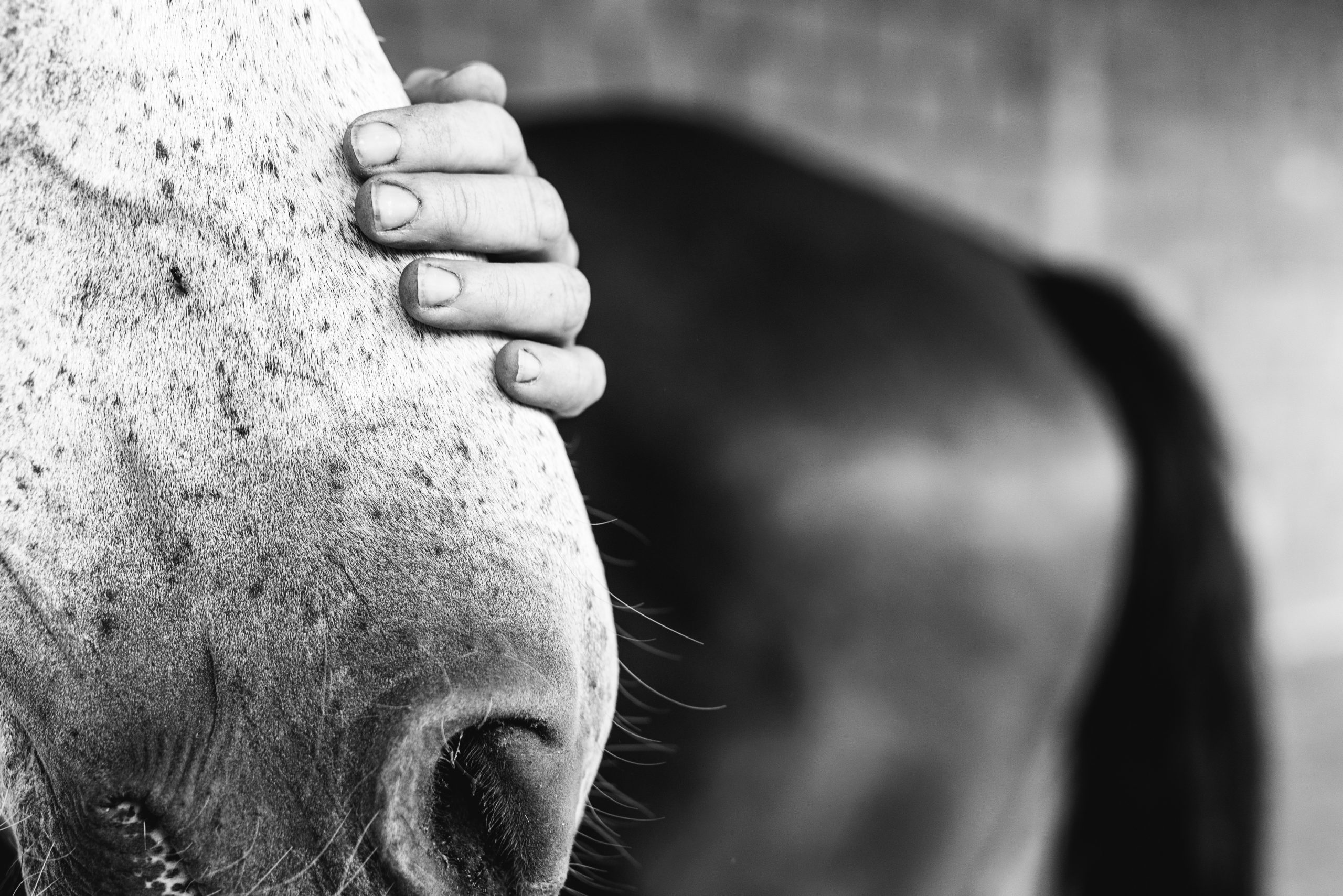 18072021 DMS3703 scaled