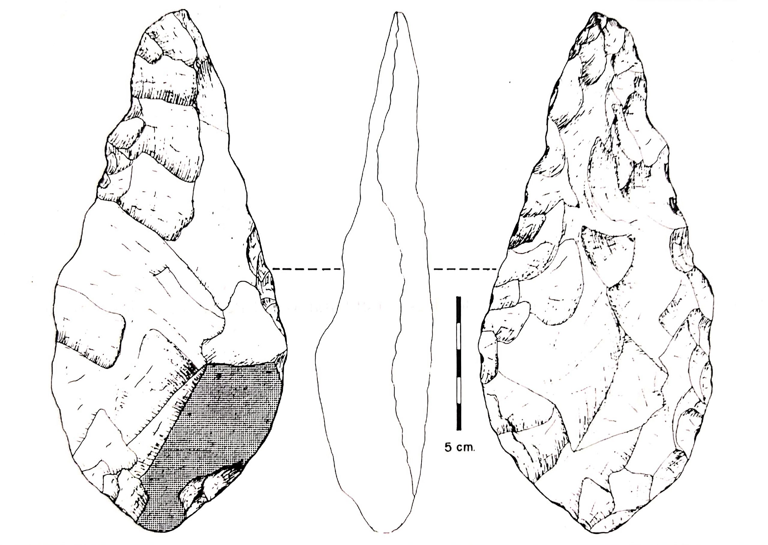 HPV59 Foto repor prehistoria 3 scaled