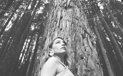 Conciertos vespertinos de Manoteras: Virginia Rivera Quartet