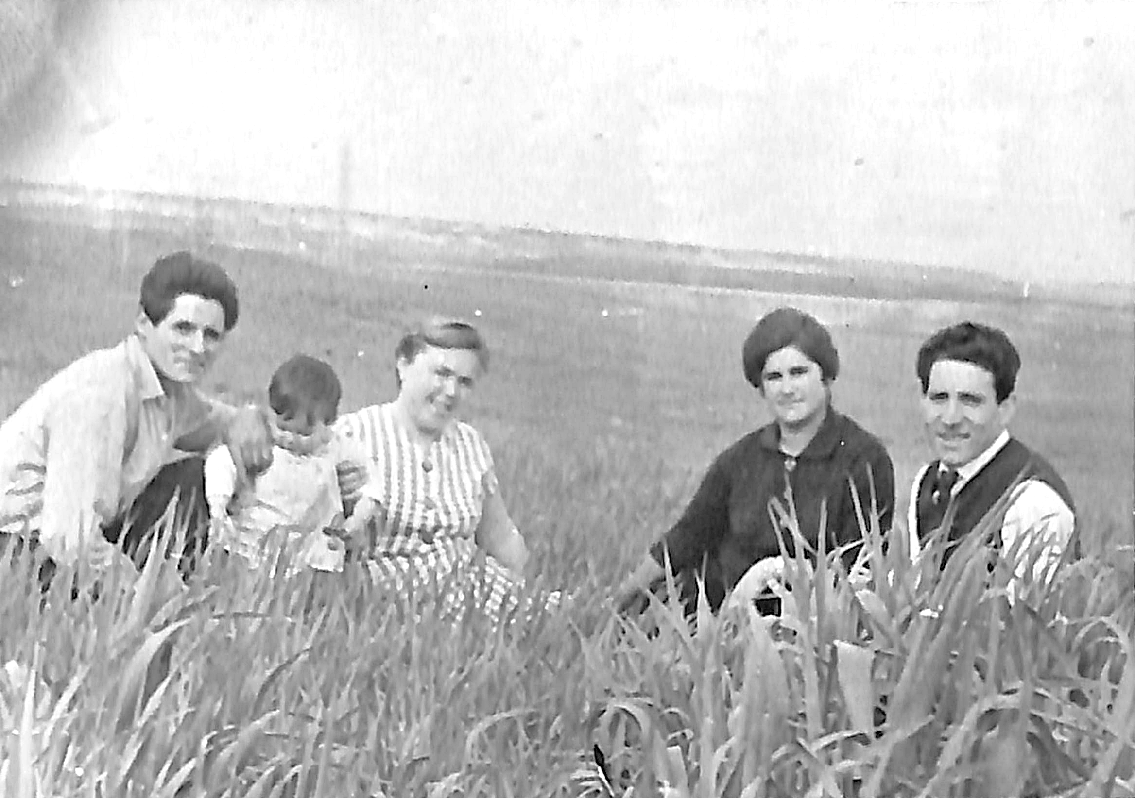 Tarde de campo en Hortaleza