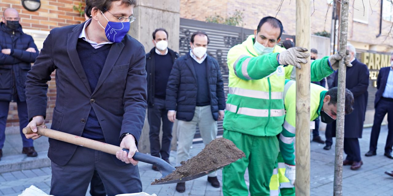 Hortaleza perdió más de 2.000 árboles tras Filomena