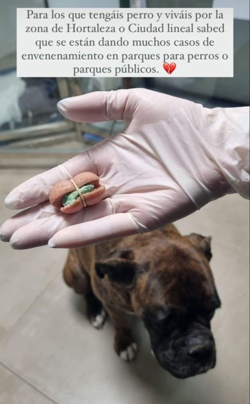 Un viernes cualquiera