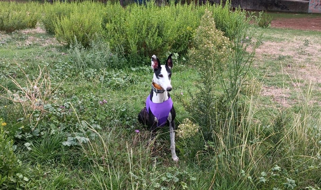 Un viernes cualquiera