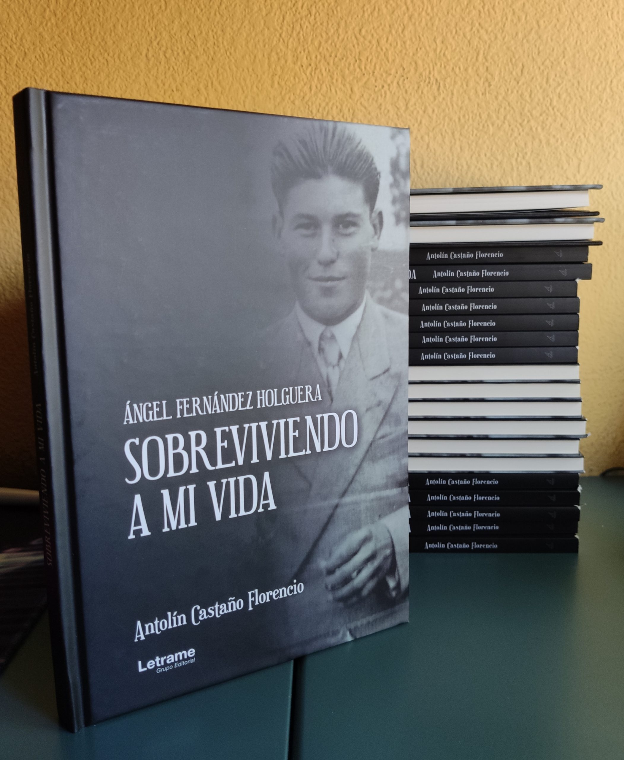 Sobreviviendo a mi vida