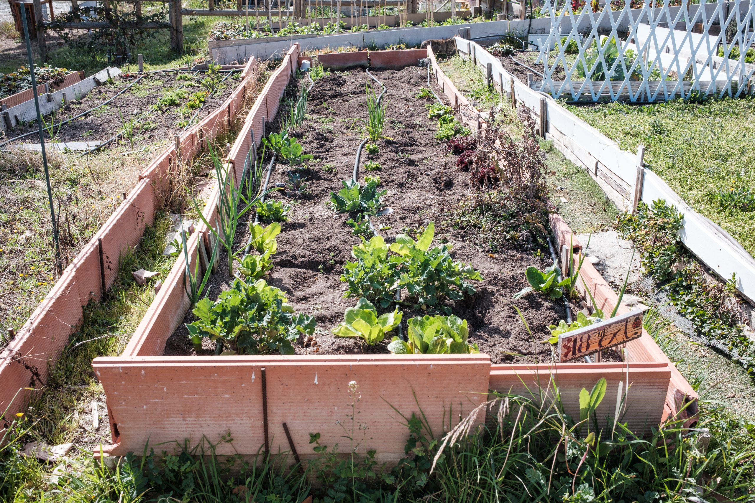 Producción de alimentos