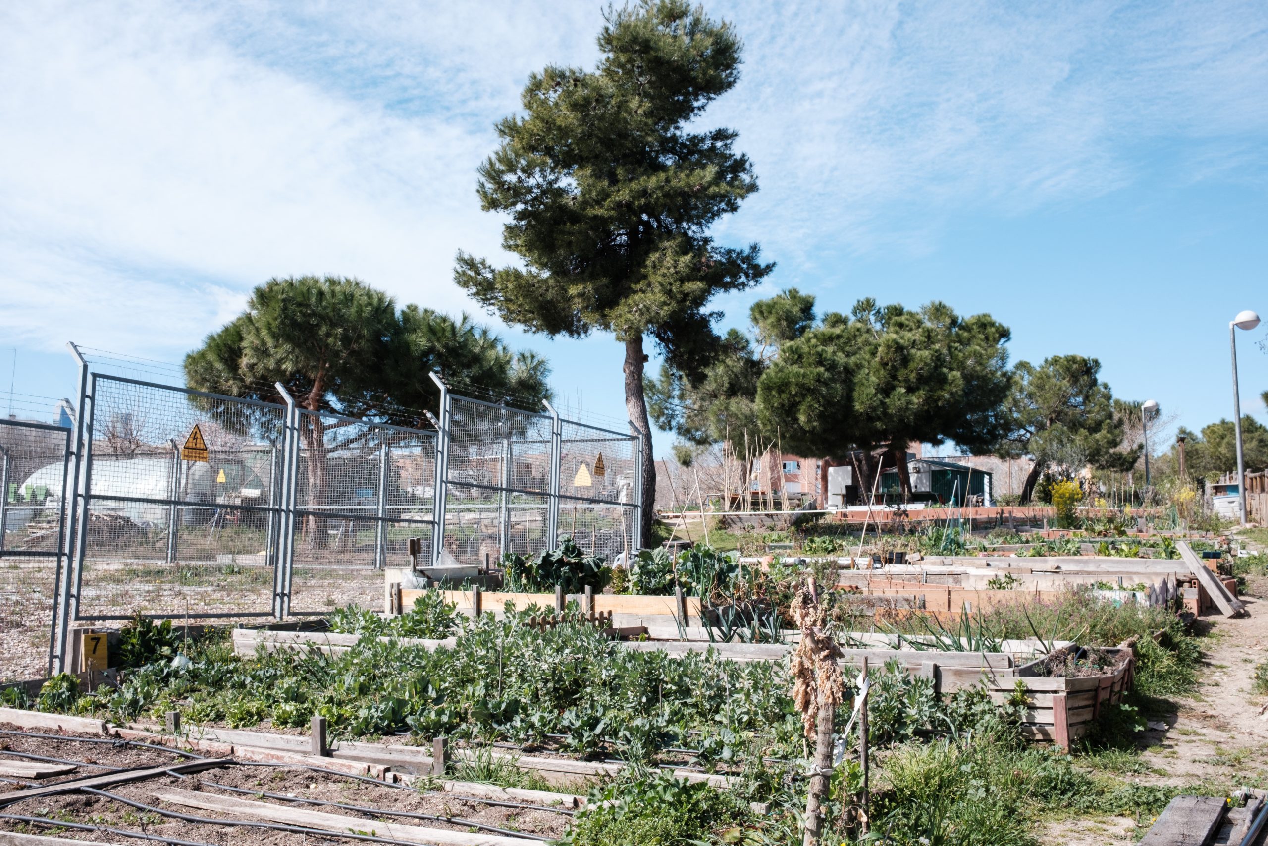 HPV HuertoManoteras JavierPortillo.jpg 5 scaled