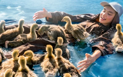 Cine de verano de Hortaleza: Volando juntos