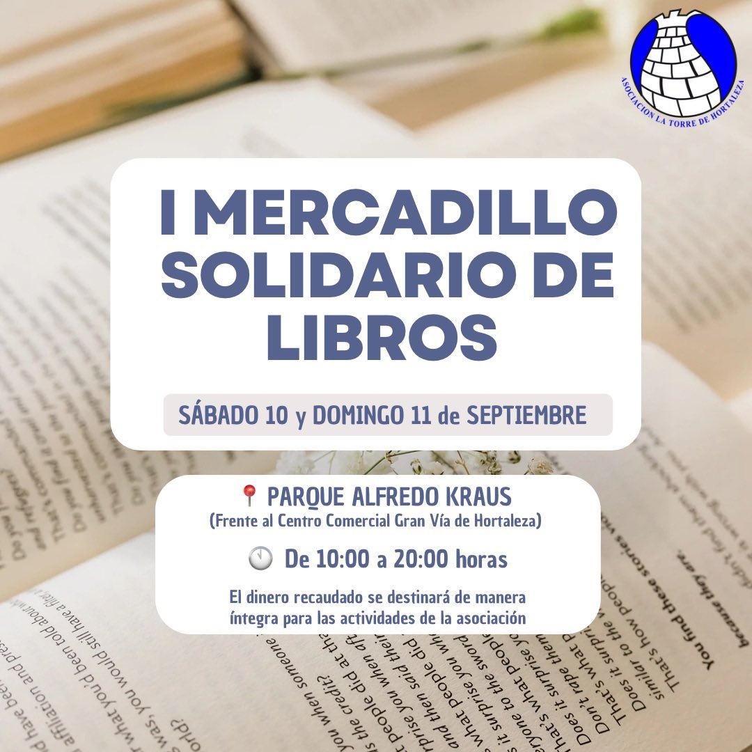 Mercadillo libros La Torre