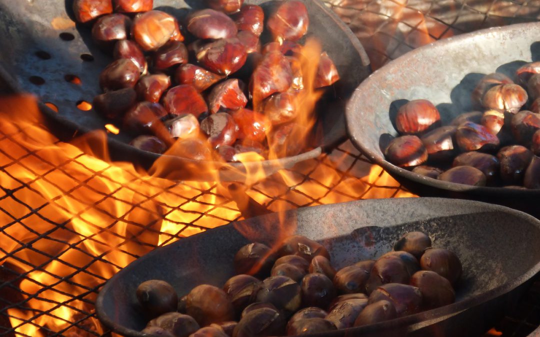 Castanyada residencia sarria barcelona 1080x675 1