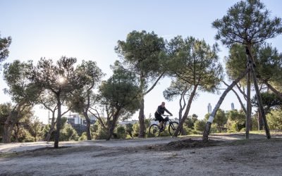 Sin plan para Pinar del Rey dos años después de Filomena