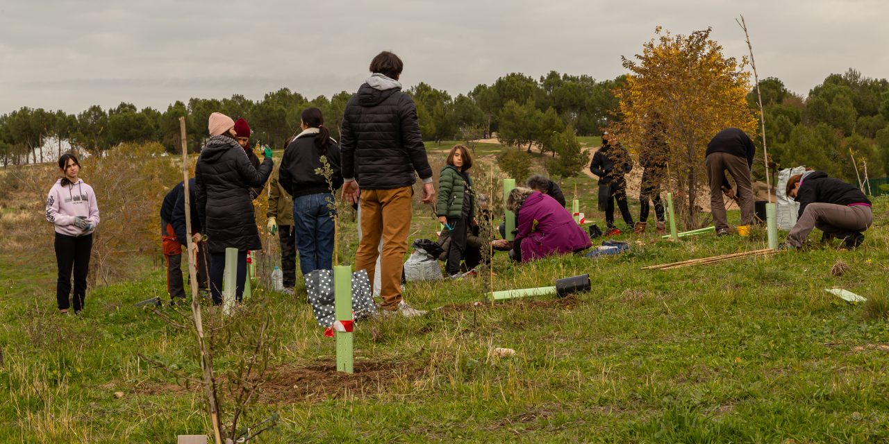 Una mañana para mejorar el barrio