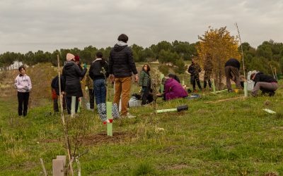 Una mañana para mejorar el barrio