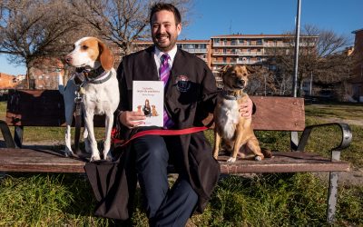 ‘La tarta, mejor de zanahoria’, una llamada a la resistencia