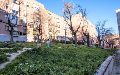 La lucha vecinal consigue la limpieza de zonas interbloques