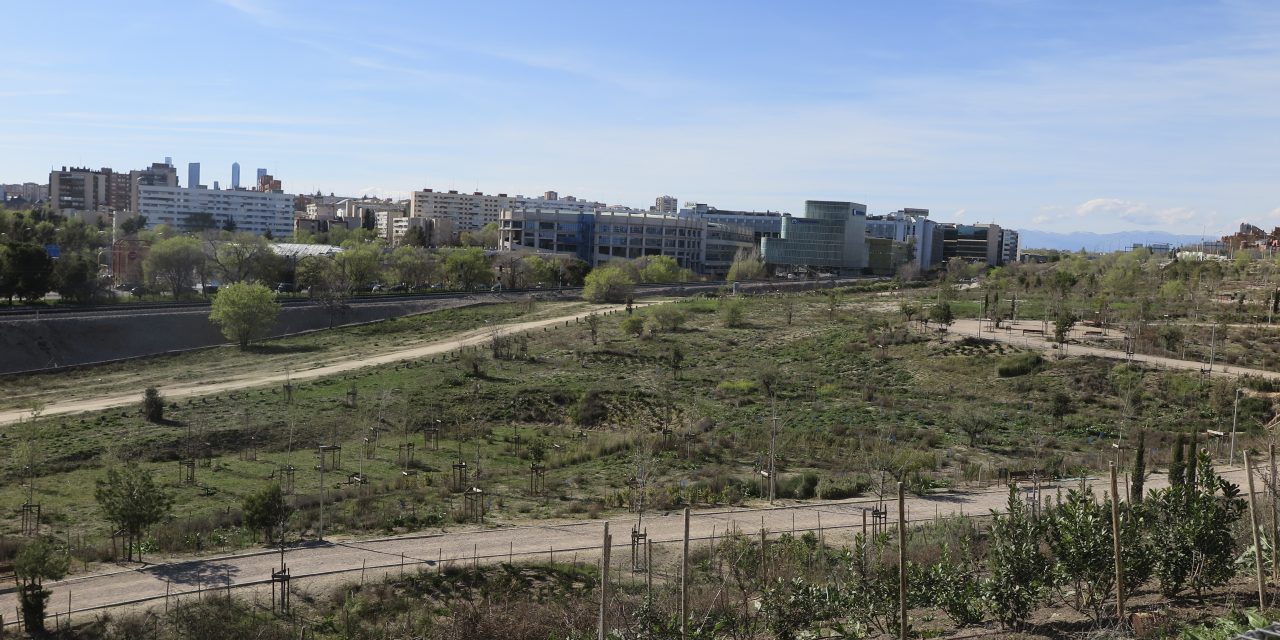 El Bosque Metropolitano se seca a su paso por Hortaleza