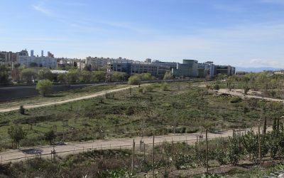 El Bosque Metropolitano se seca a su paso por Hortaleza
