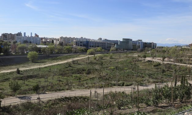 El Bosque Metropolitano se seca a su paso por Hortaleza