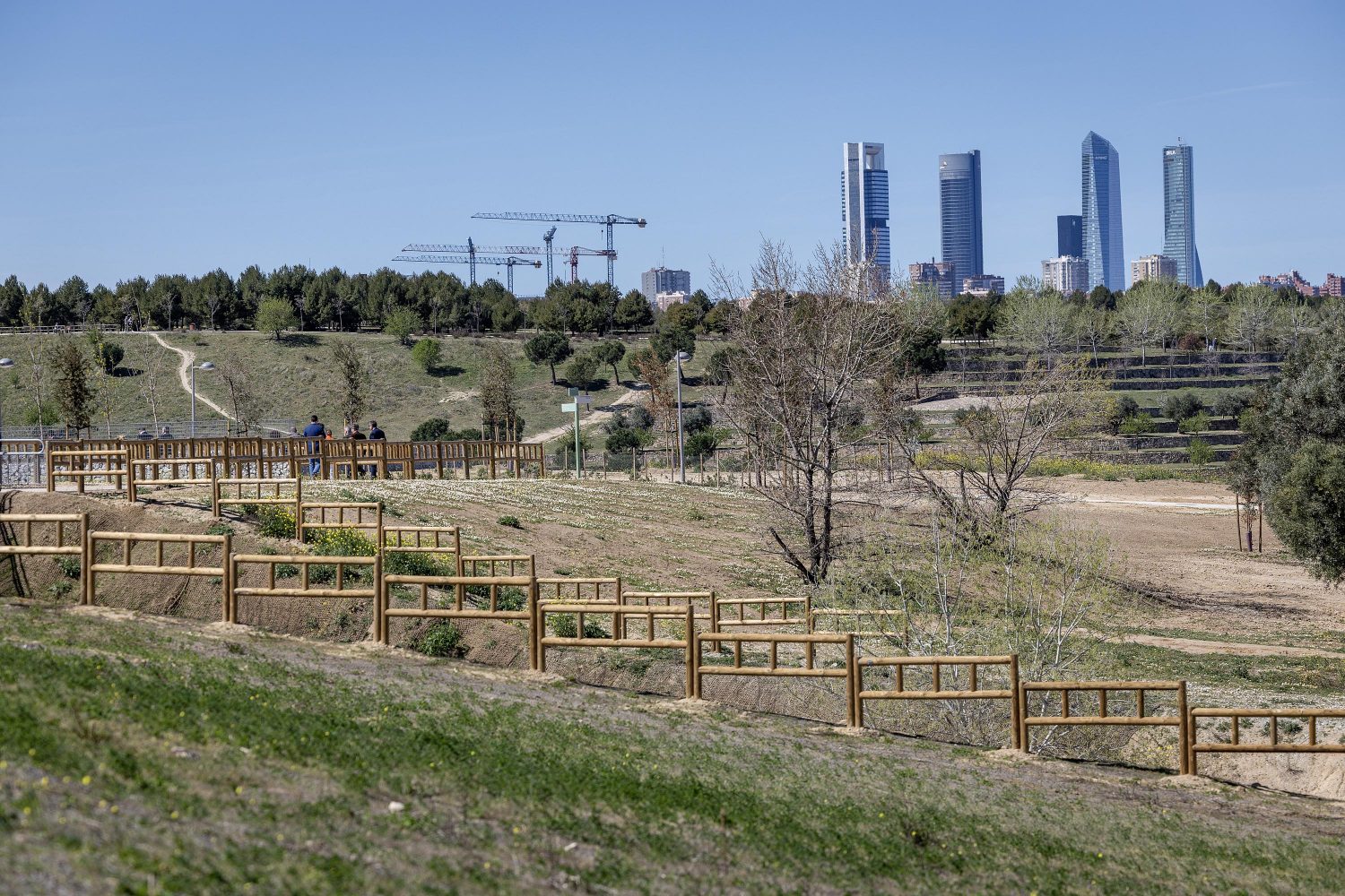 Parque Central de Valdebebas