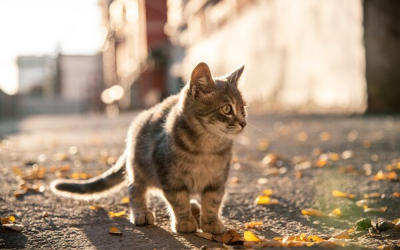 Los ‘sinnombre’ de abril