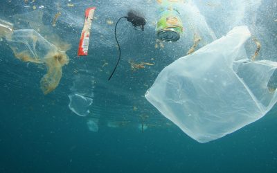 Las Fiestas de Primavera de Hortaleza y el medioambiente