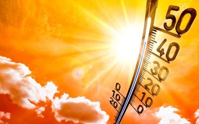 Asamblea Popular por el Clima