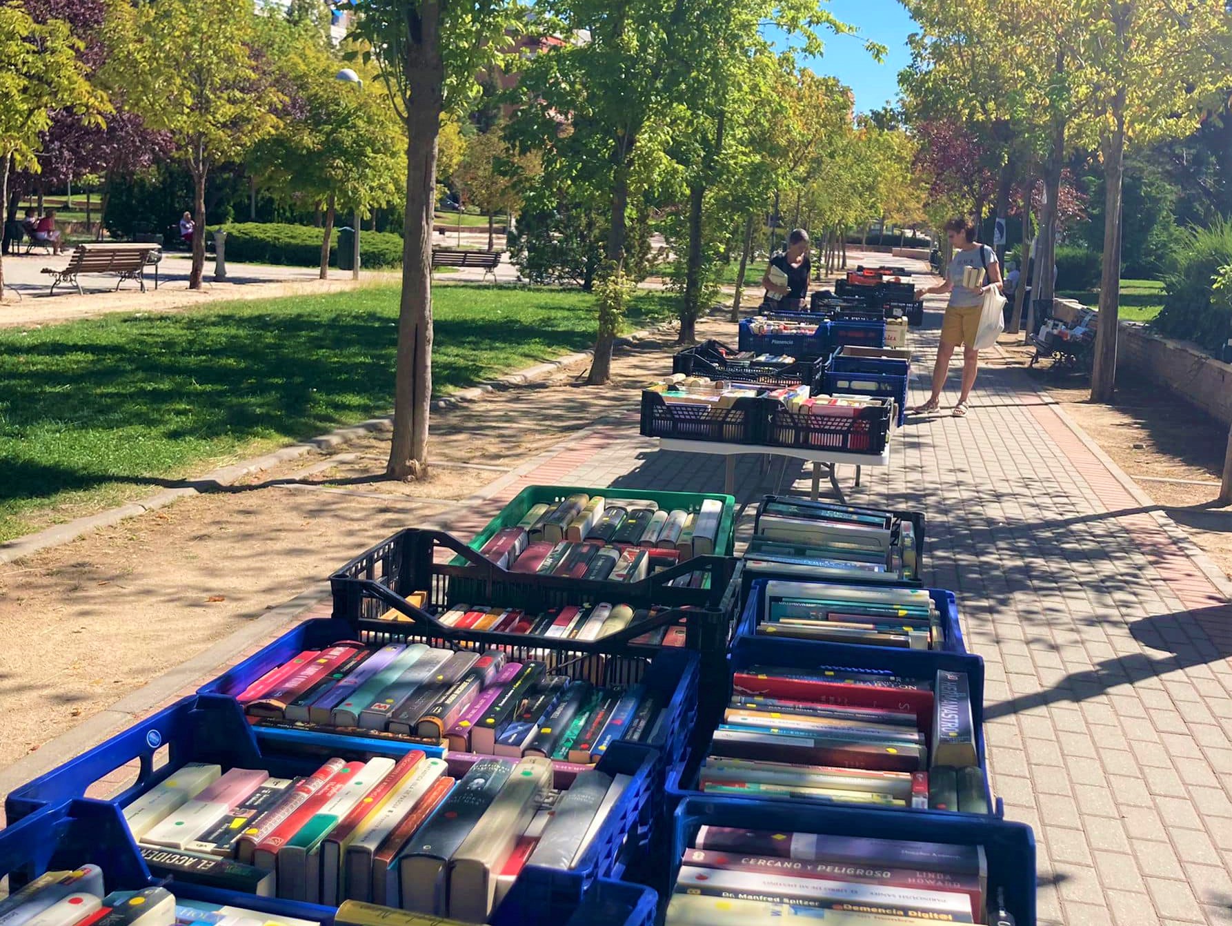 intercambio solidario de libros