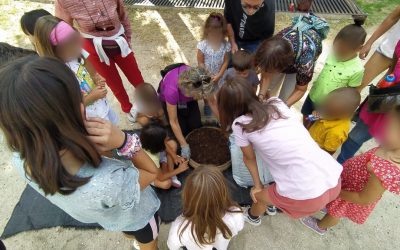 Jornada de cribado en el área de compostaje de Manoteras