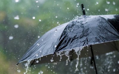 El vecino desconocido