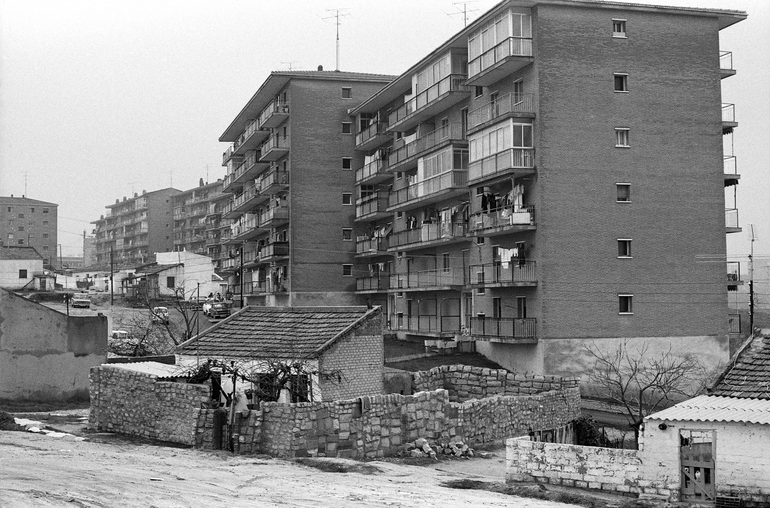 Javier Campano 3 scaled