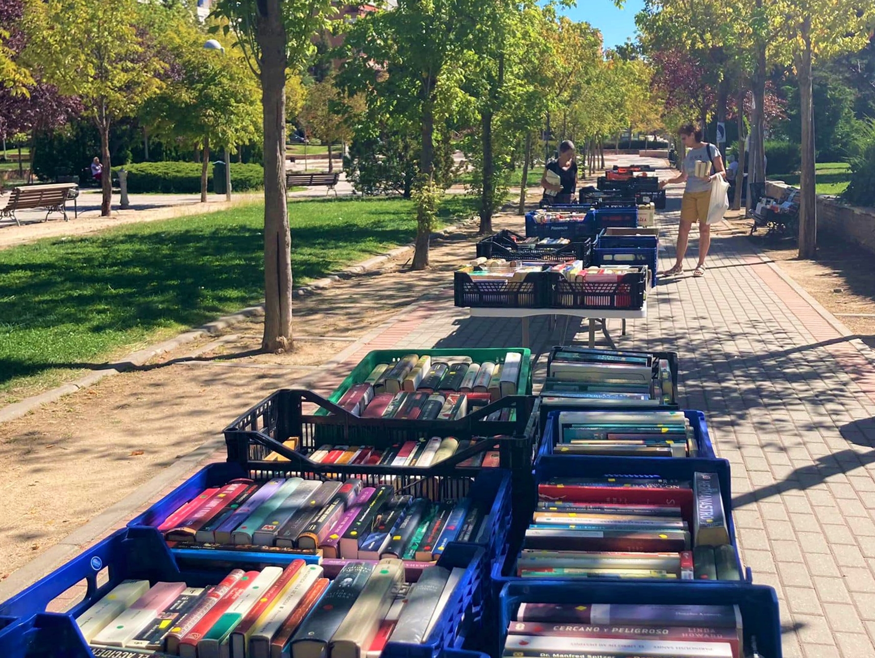 VII Intercambio solidario de libros