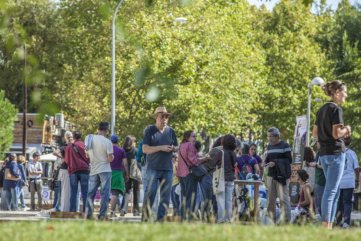 FeriaAsociaciones 01 0013