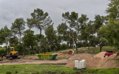 De rehabilitación del Pinar del Rey a “reforma integral”