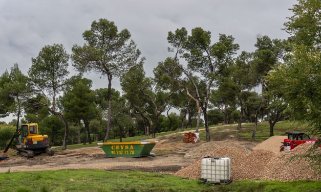 De rehabilitación del Pinar del Rey a “reforma integral”