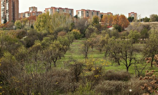 El Ayuntamiento incumple su promesa de proteger Huerta de Mena