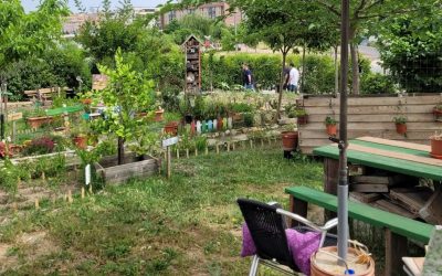 X aniversario del huerto comunitario Kupina Morera