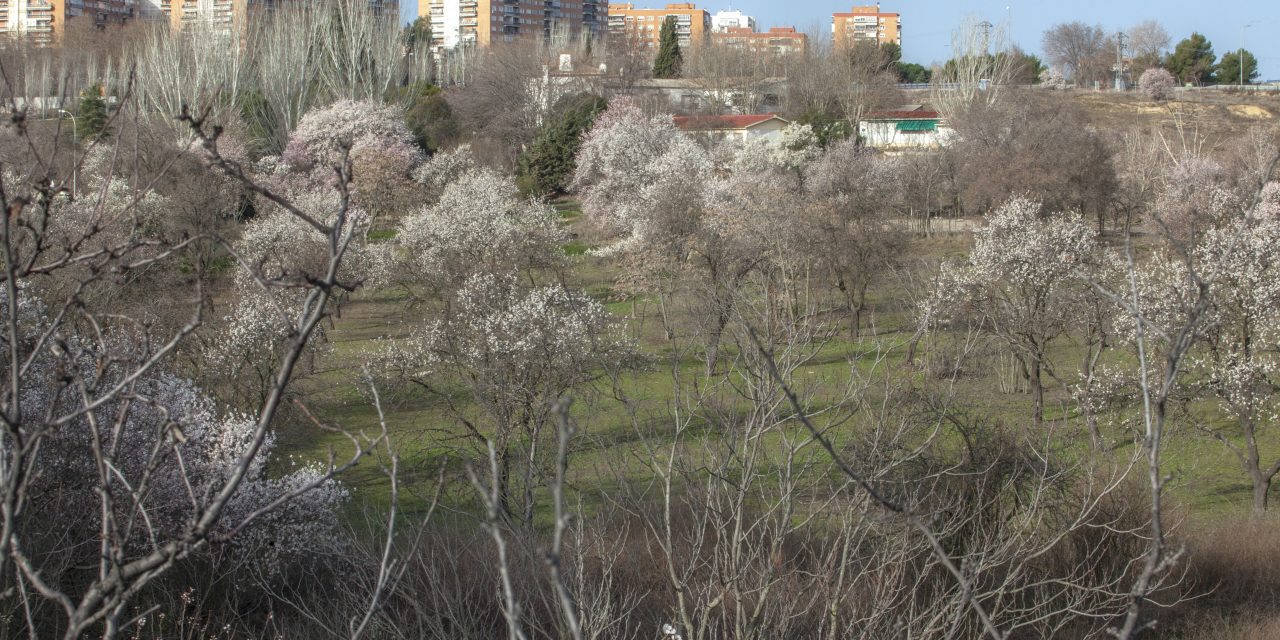La Comunidad de Madrid protegerá parte de Huerta de Mena sin impedir la construcción de oficinas